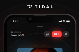 Снимок экрана функции Tidal DJ.