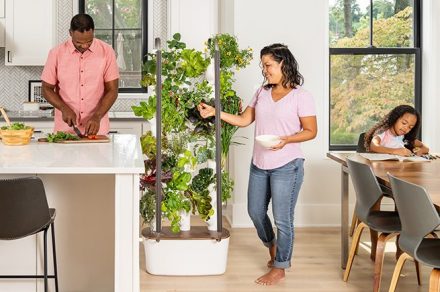 Grow Healthy Food: Save $304 on a Gardyn indoor gardening system