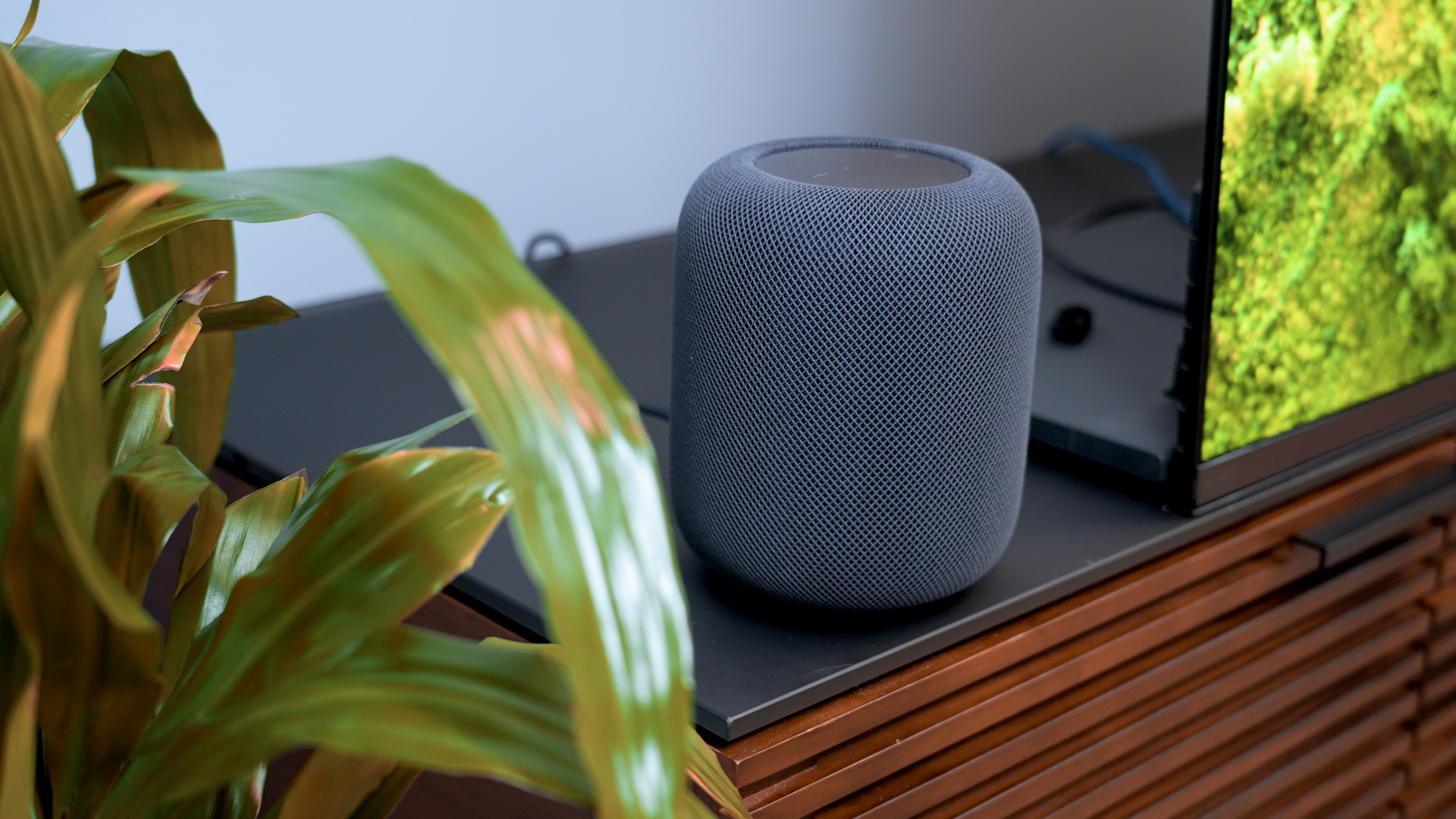8 Reasons To Avoid A New Smart Home Assistant (E.G.  Echo, Google Home)  Today - History-Computer