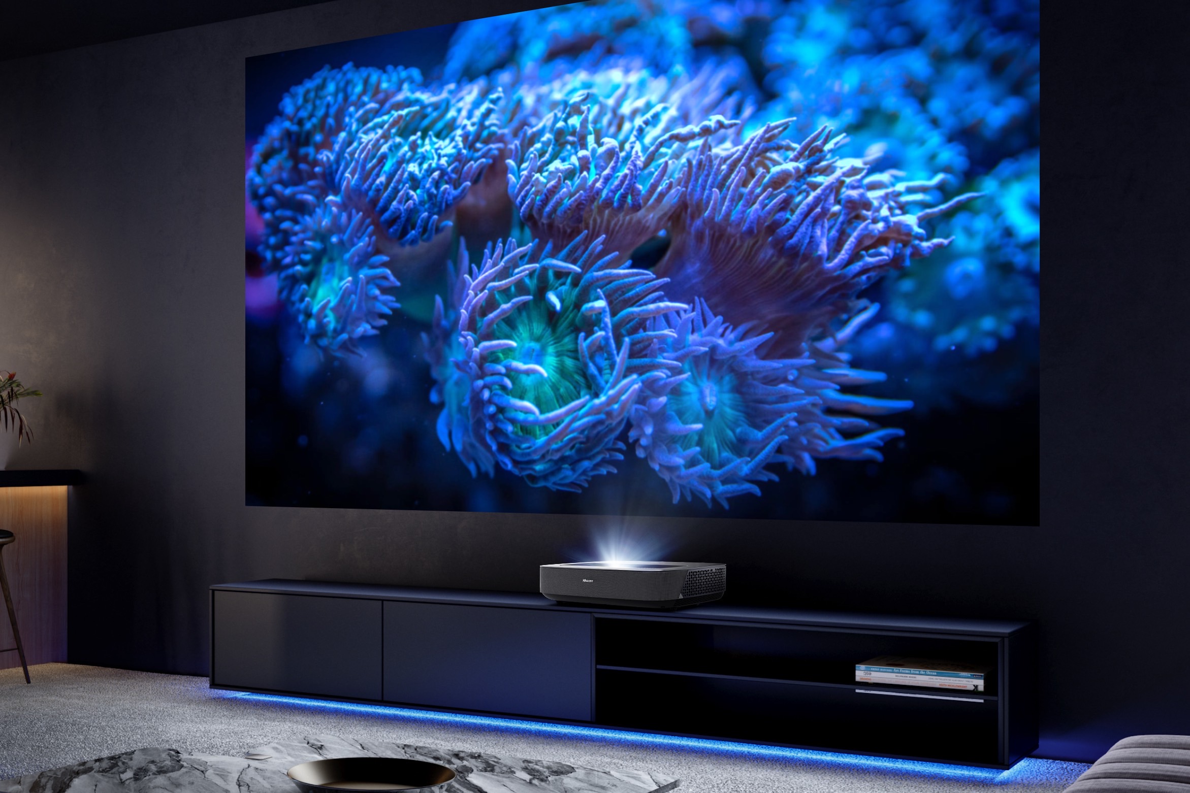 Hisense muestra televisores mini-LED de 98 y 100 pulgadas de gran brillo -  Digital Trends Español