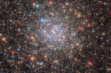 Hubble snaps a cluster in our galaxy bursting with stars