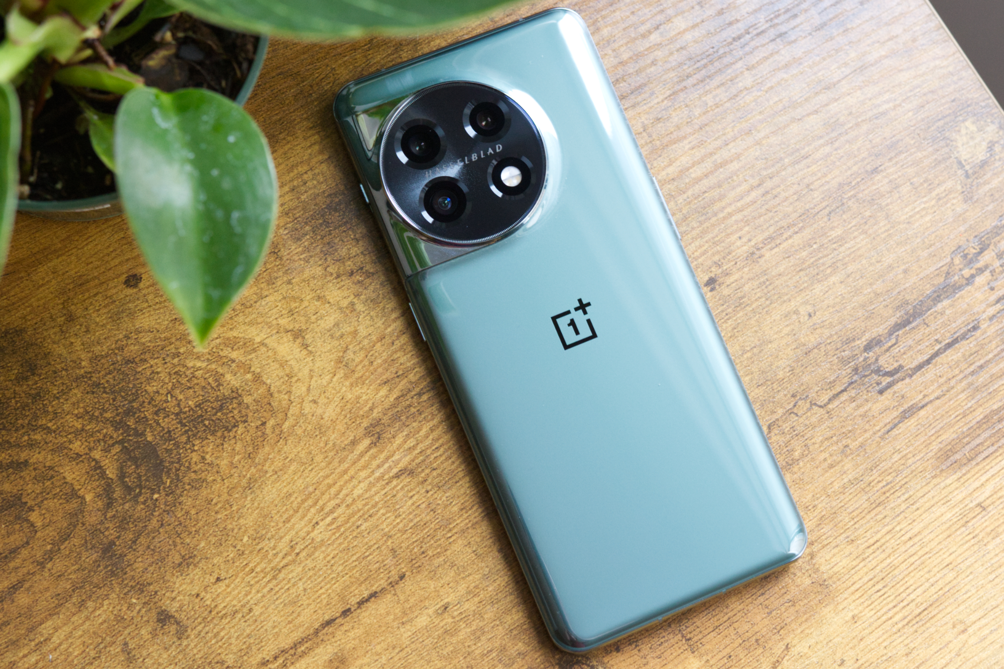 OnePlus 11 (en verde) acostado boca abajo sobre un escritorio.