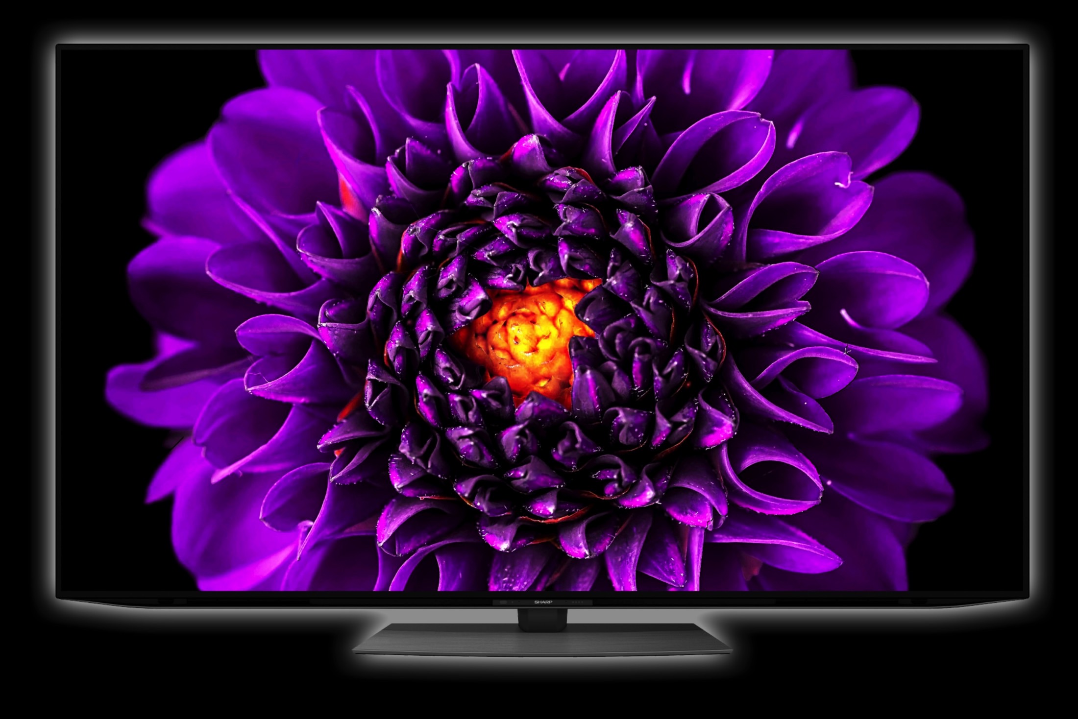 sharp-will-bring-one-of-the-first-oled-roku-tvs-to-the-u-s-in-2023