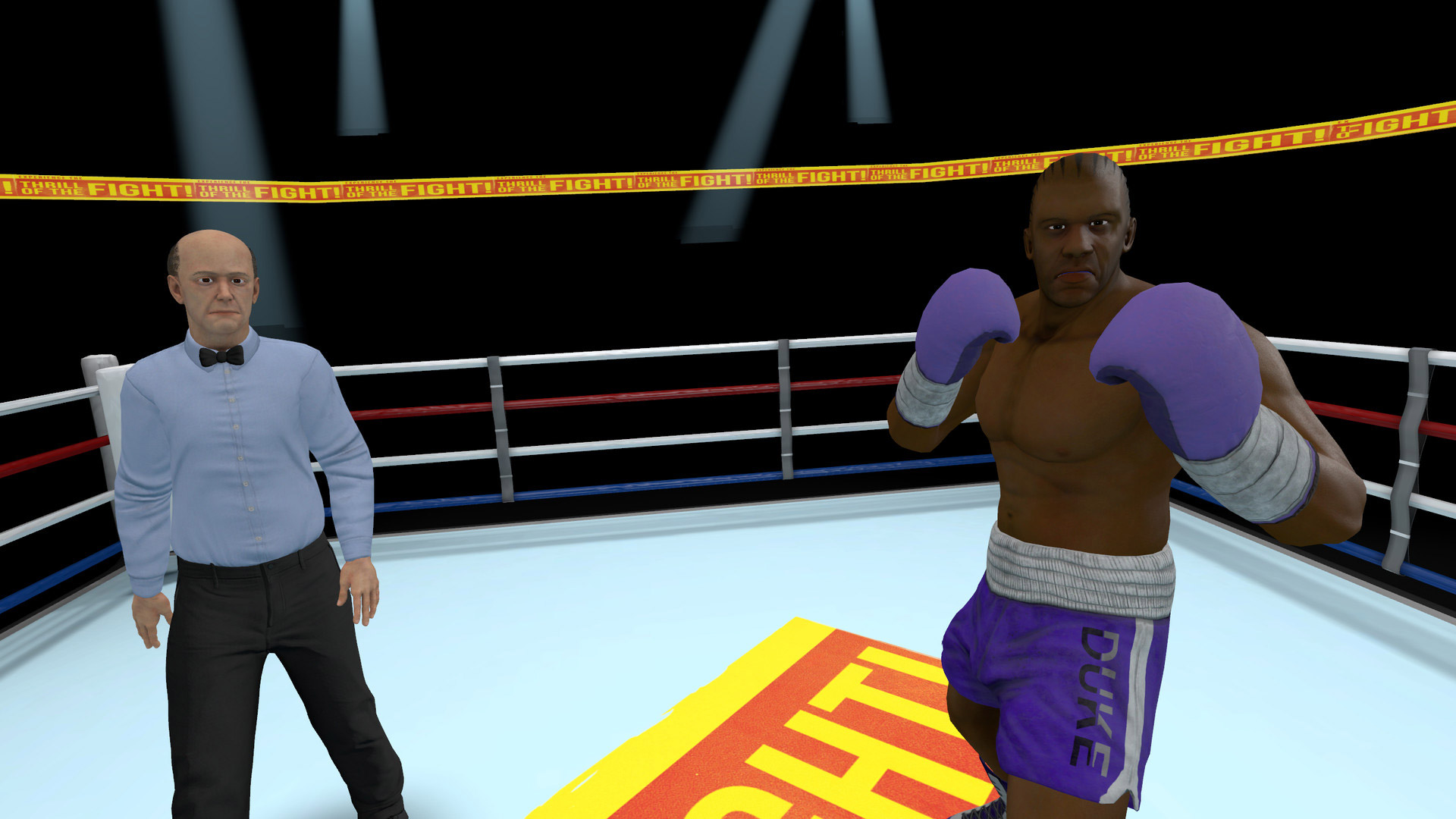 Captura de pantalla del juego Thrill of the Fight.