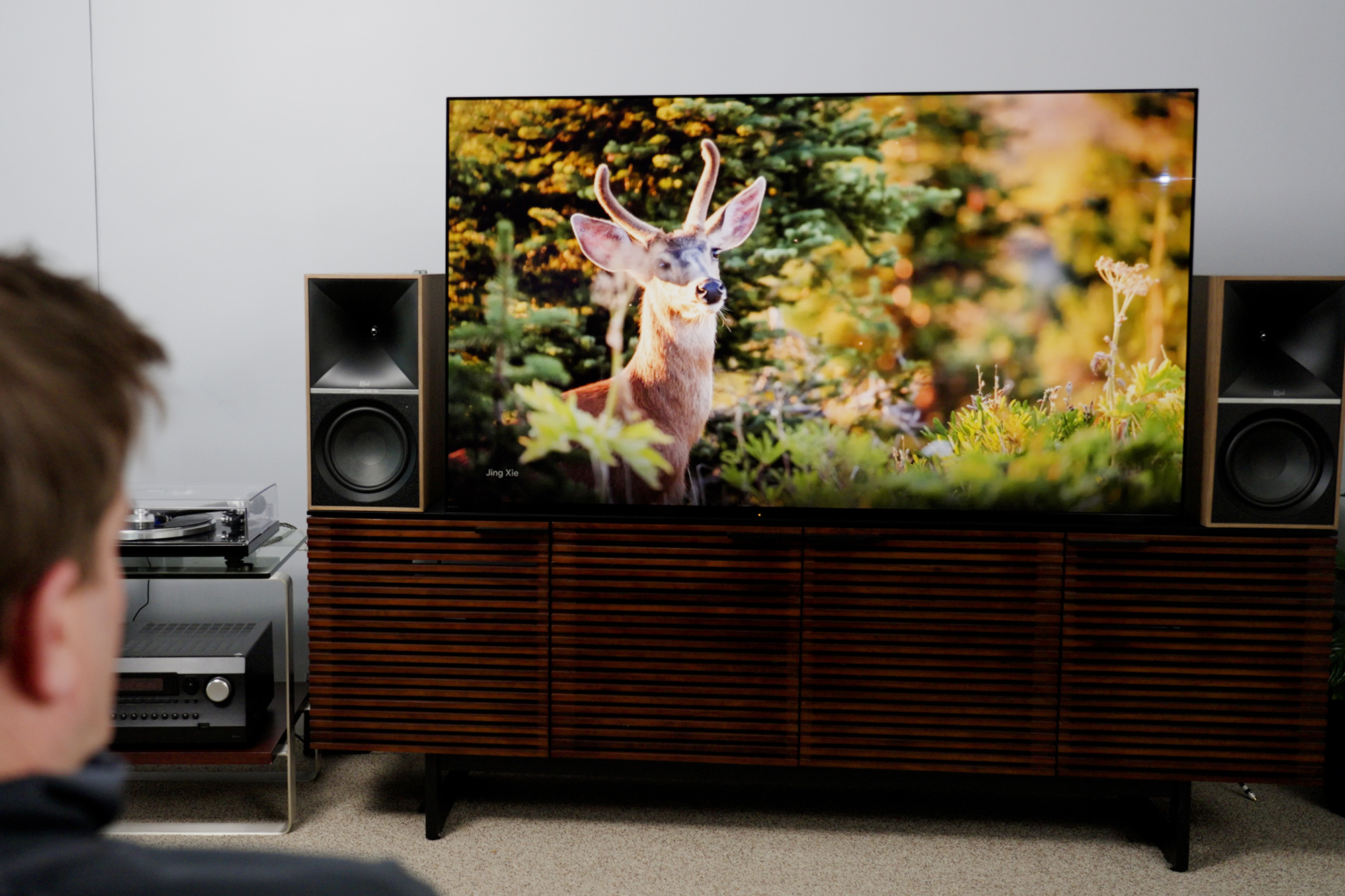 A man watches a nature program on a TV connected to Klipsch The Nines speakers.