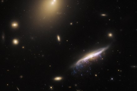 There’s a cosmic jellyfish in this week’s Hubble image