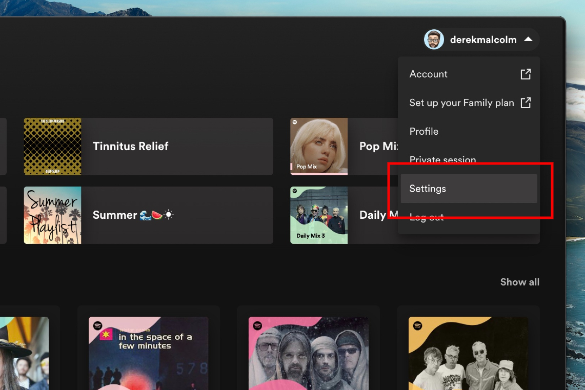 Как загрузить музыку из Spotify для прослушивания в автономном режиме