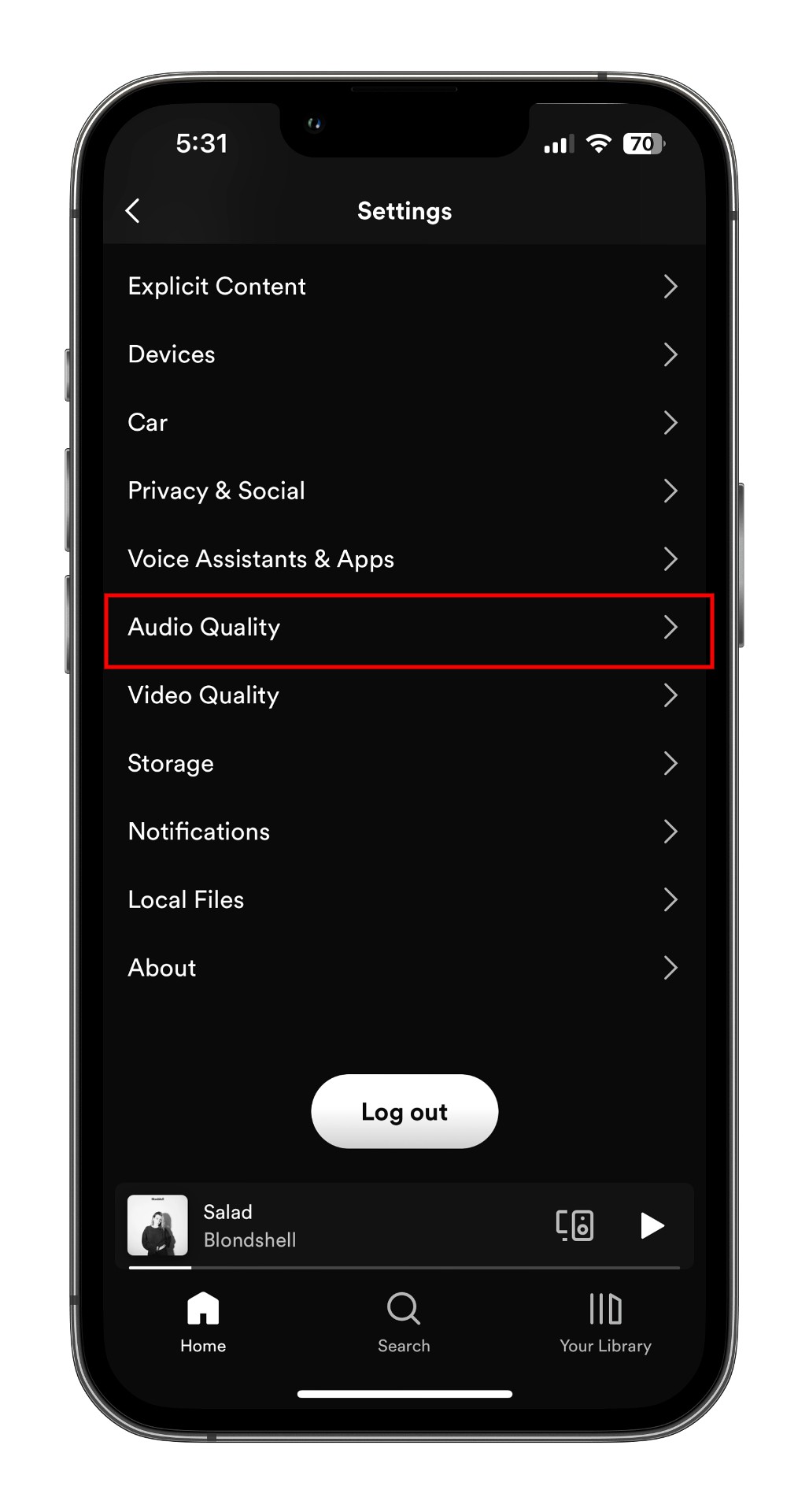 How to download music from Spotify for offline listening