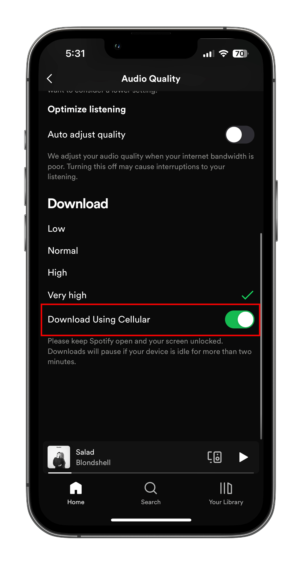 How to download music from Spotify for offline listening