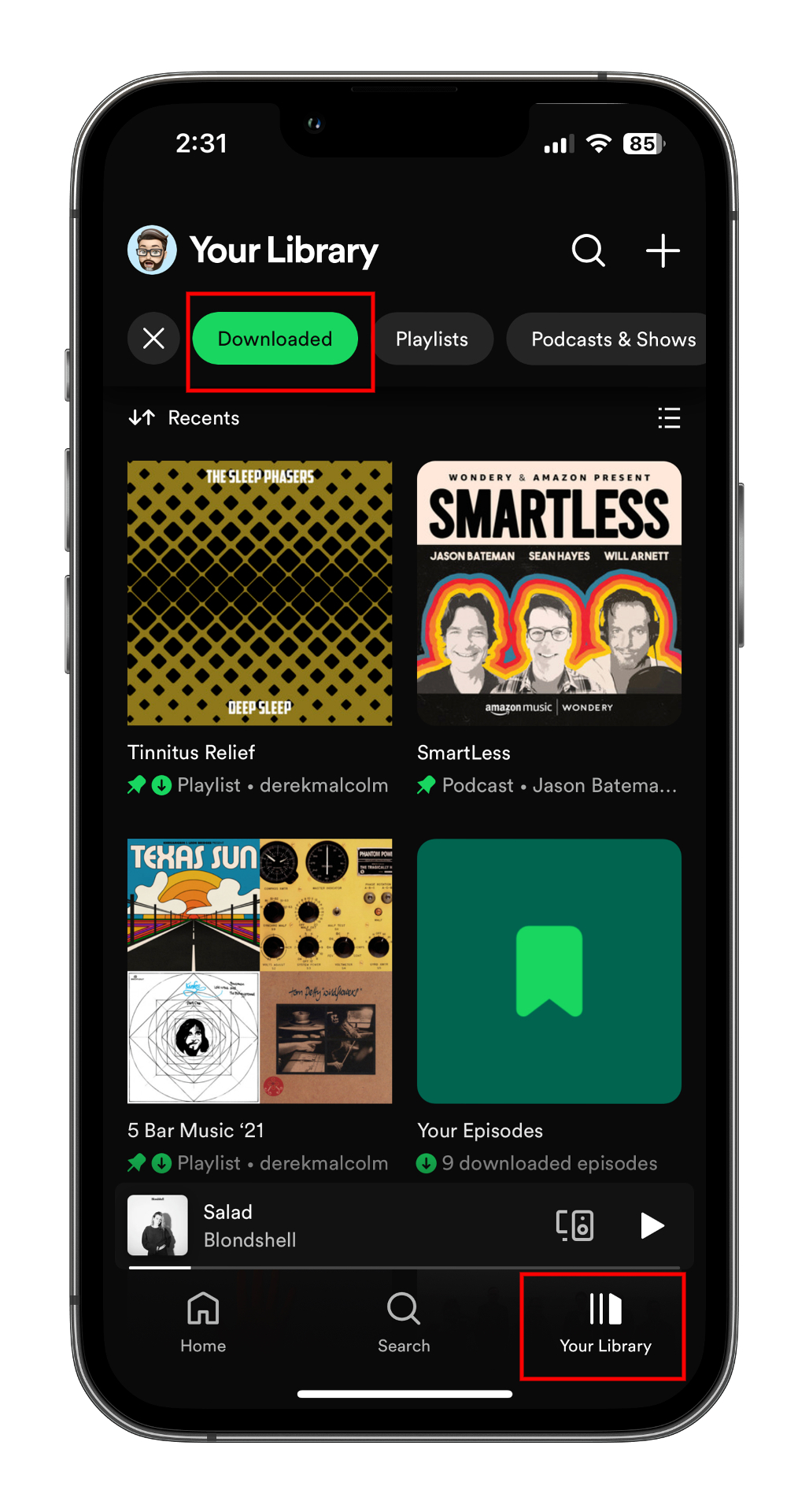 How to download music from Spotify for offline listening