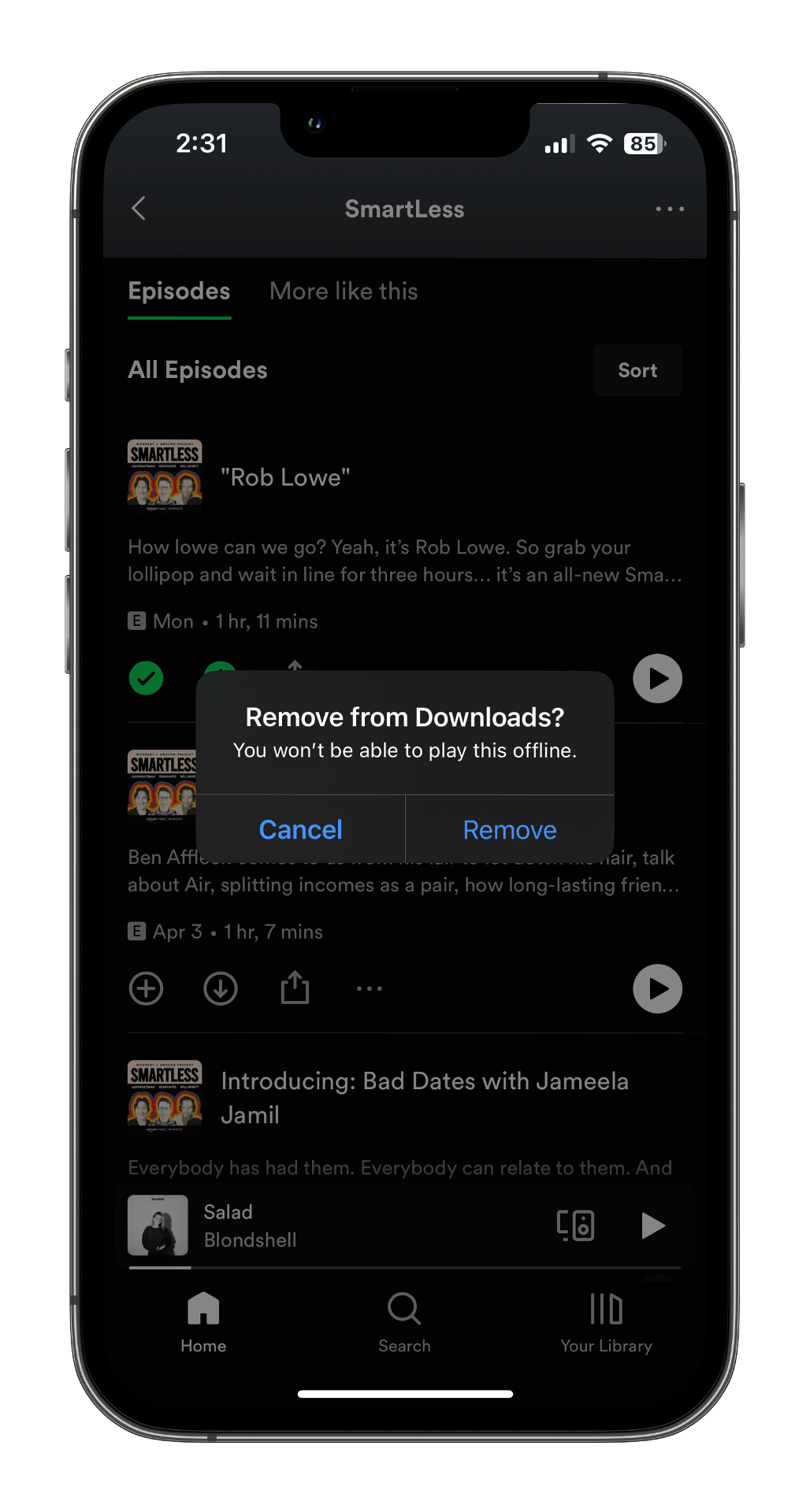 How to download music from Spotify for offline listening