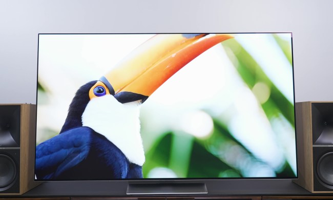 A toucan shown on an LG G3.