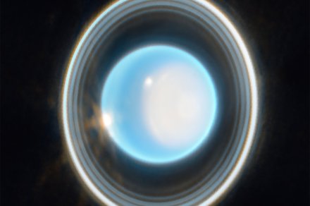 James Webb captures the rarely-seen rings around Uranus