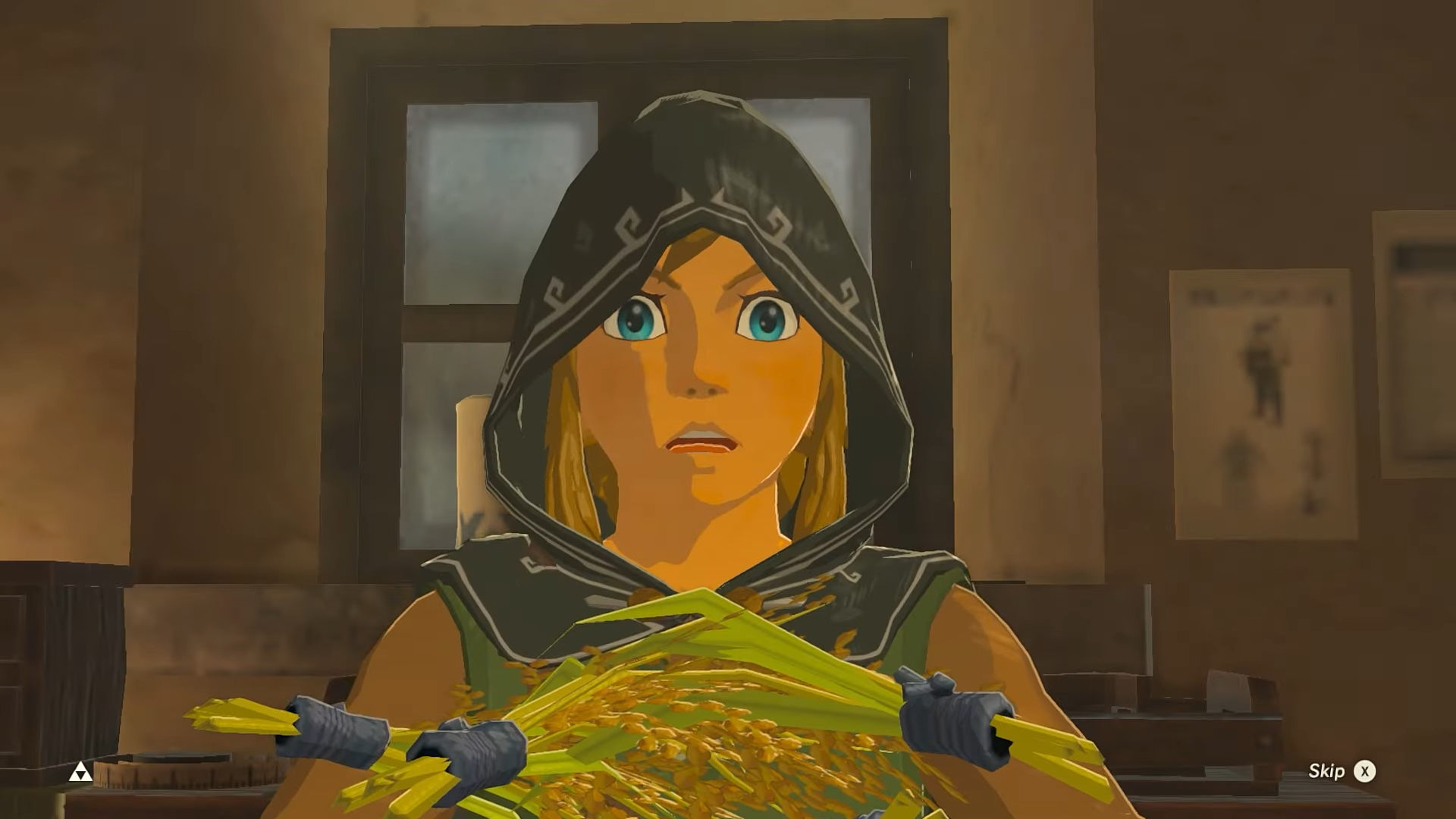 Link olhando chocado segurando arroz.