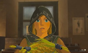 Link looking shocked holding rice.