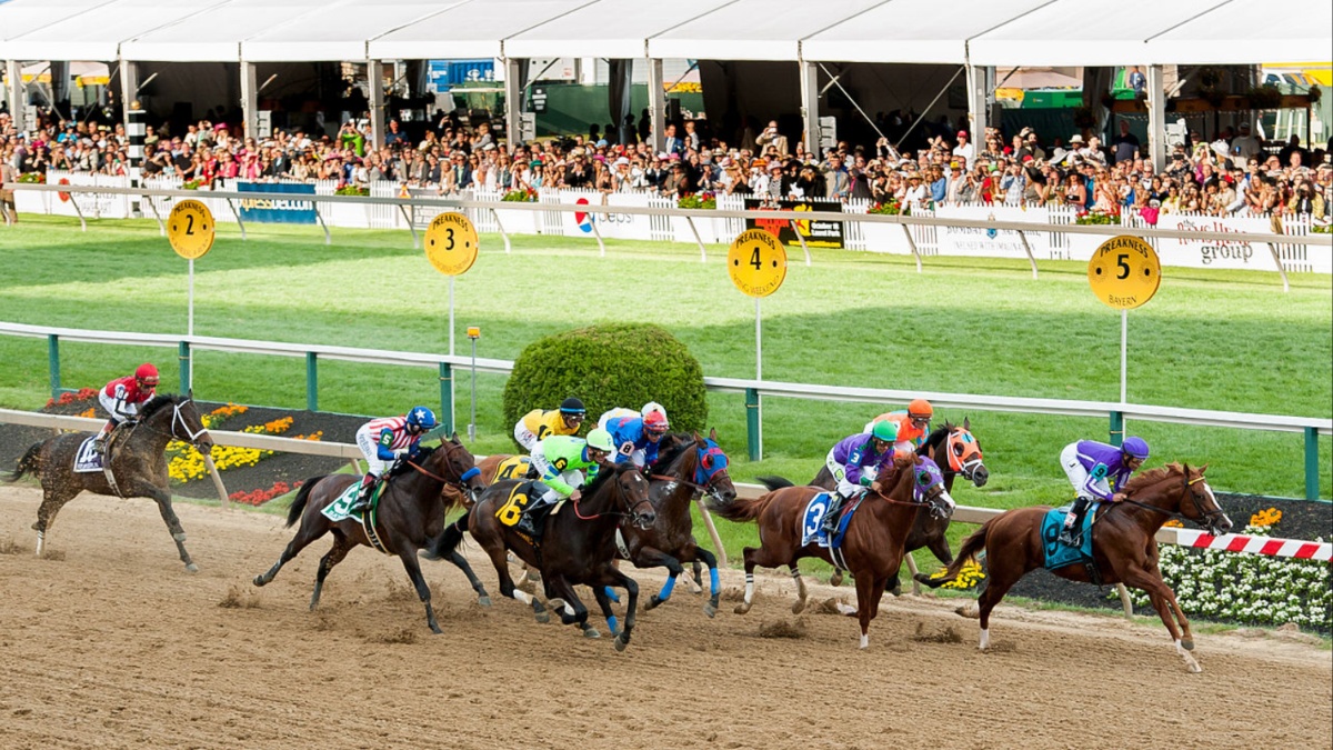 Preakness Stakes Tickets 20232024 Preakness Stakes Races