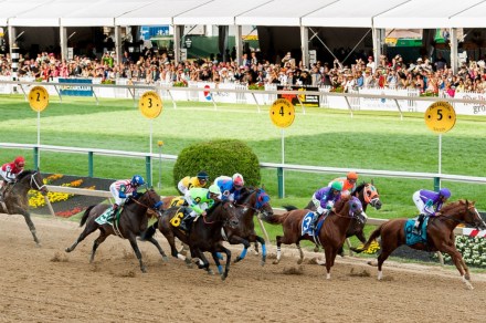 Where to watch the 2023 Preakness Stakes: How to live stream the ho...