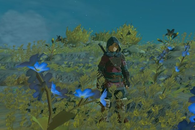 Lost Woods image - Zelda World - ModDB