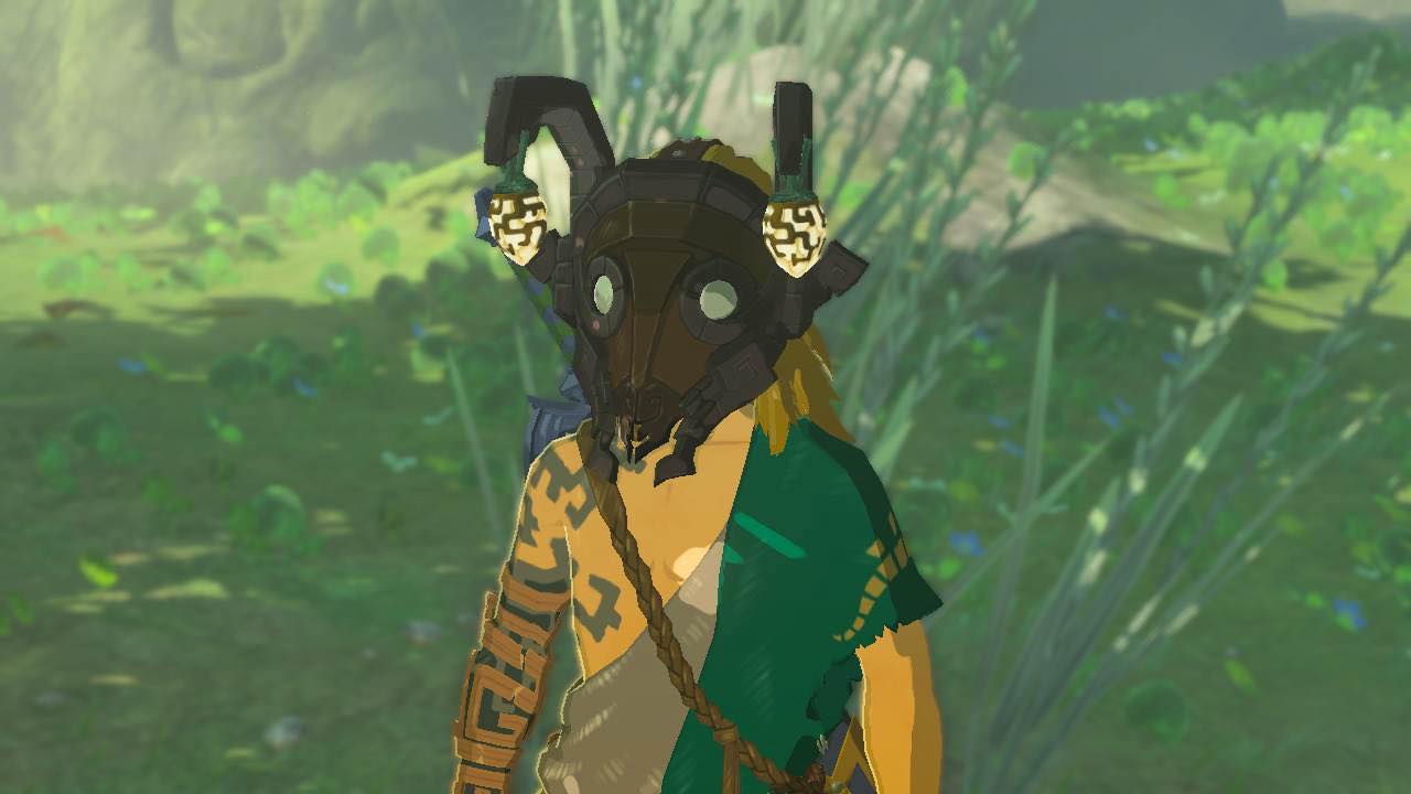 Zelda Tears Of The Kingdom Hat