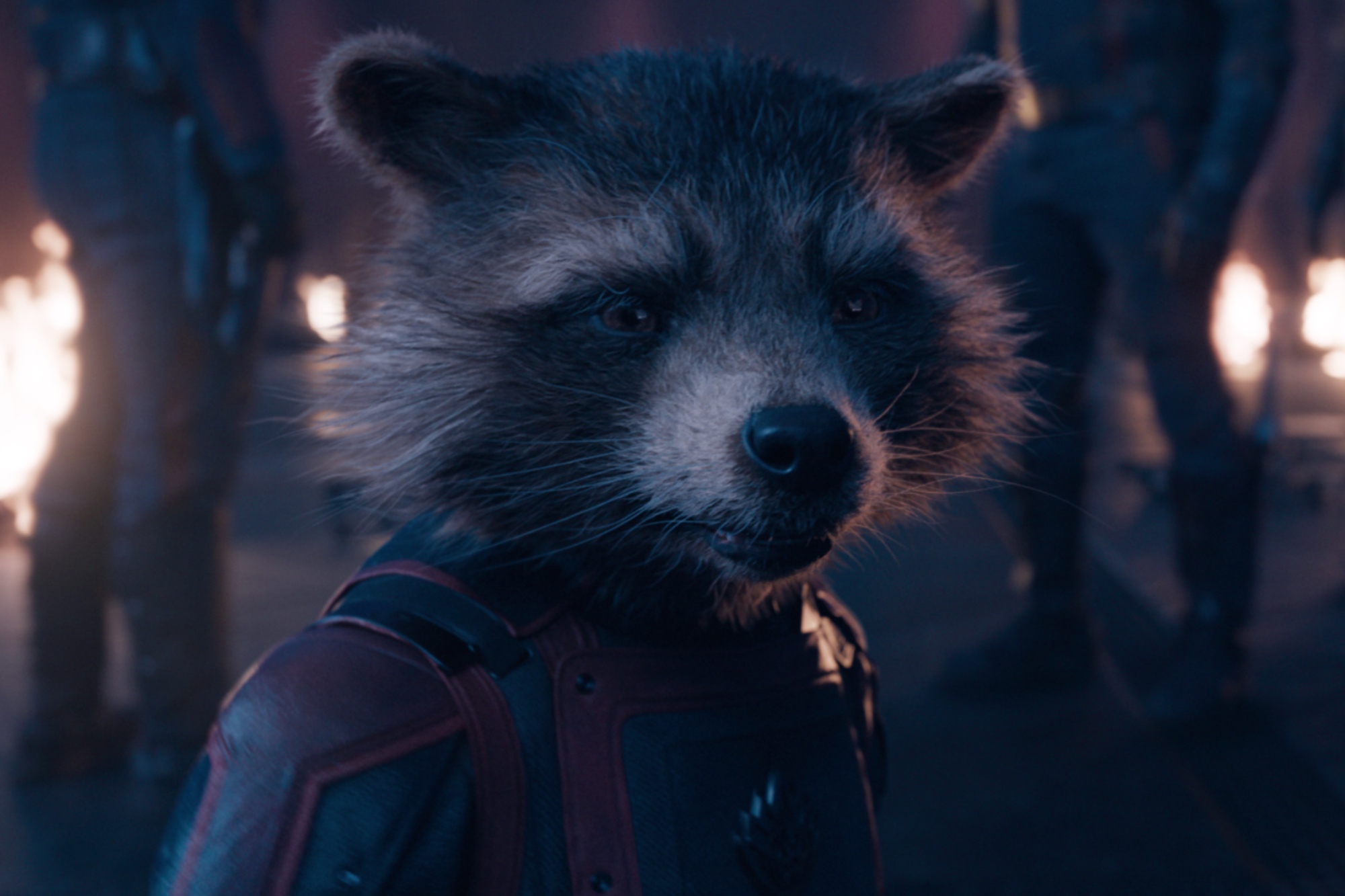 Marvel Avengers: Endgame Thor & Rocket Raccoon 2 Pack Characters from  Cinematic Universe Mcu Movies