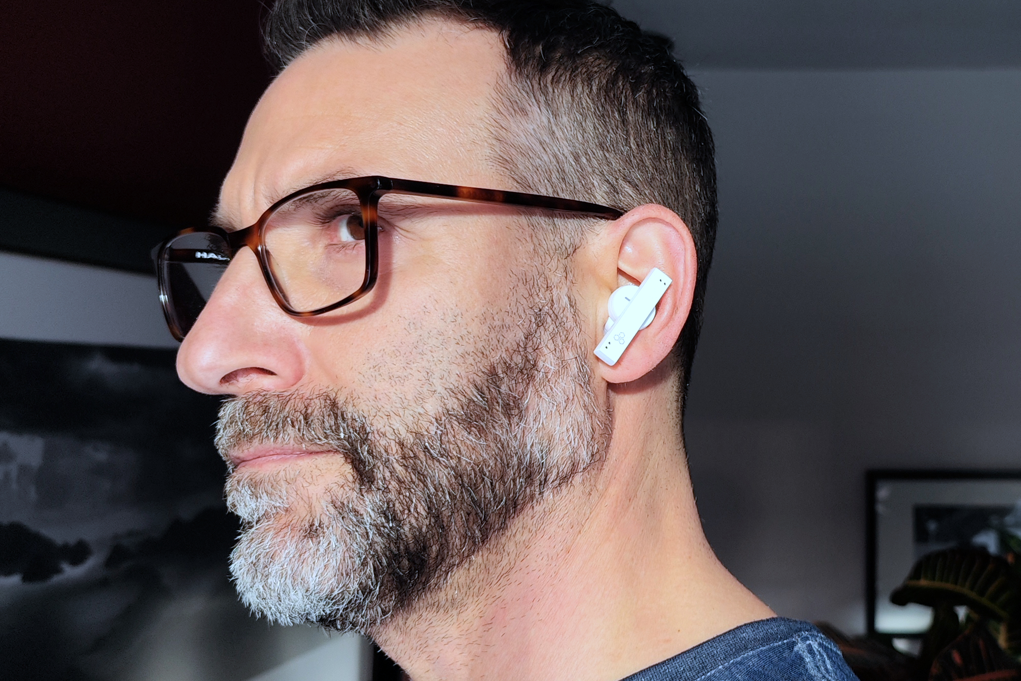 Final audio ZE8000 review: distinctive earbuds for discerning ears |  Digital Trends