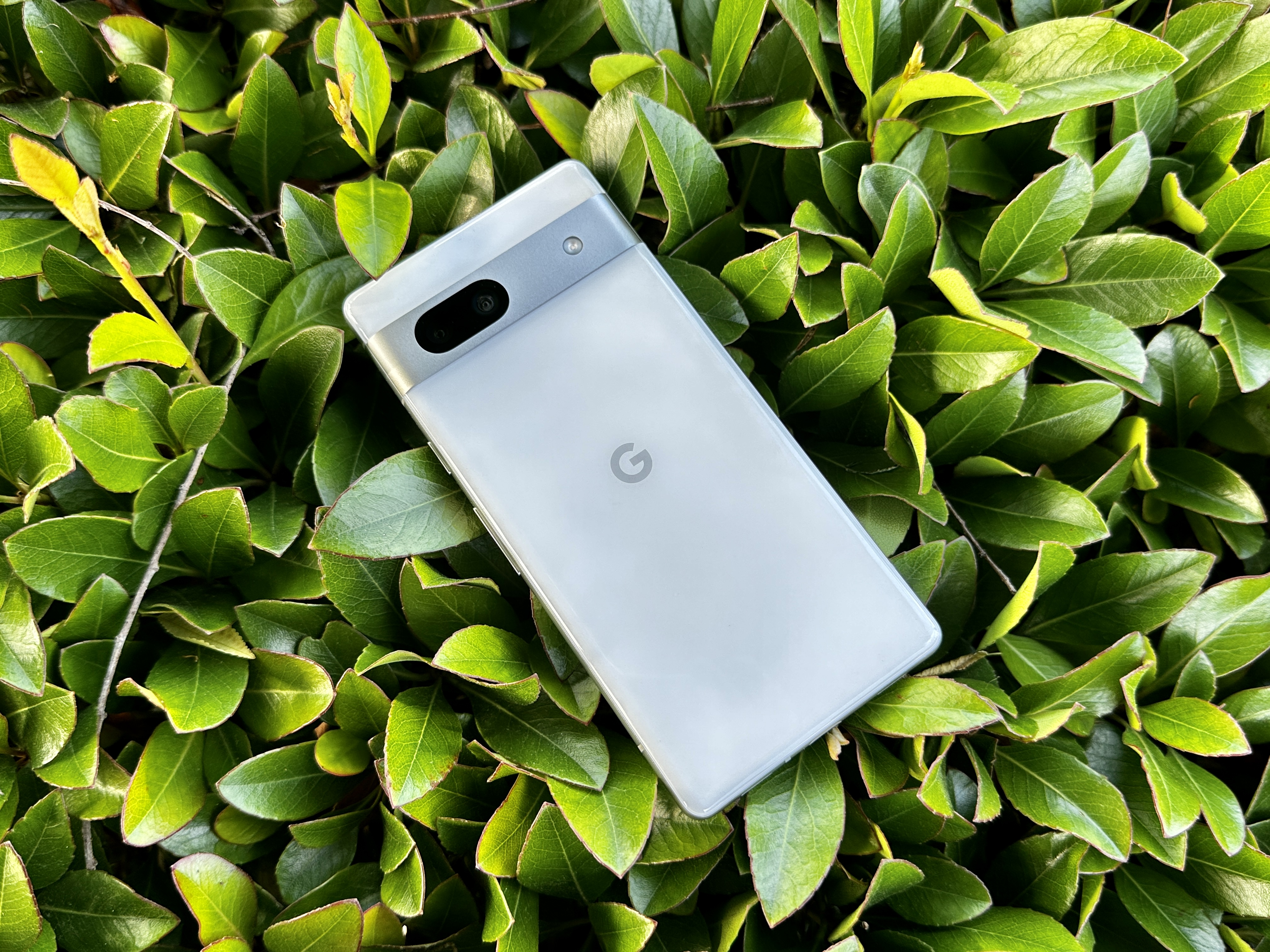 Google Pixel 7a posé sur un buisson