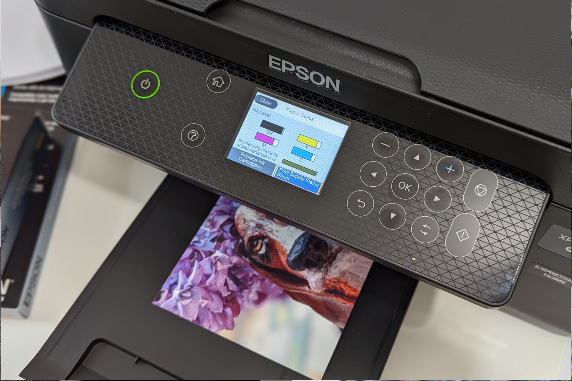 Epson Expression Home XP-4100 vs Epson Expression Home XP-4200