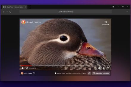 DuckDuckGo’s Windows browser is here to protect your privacy