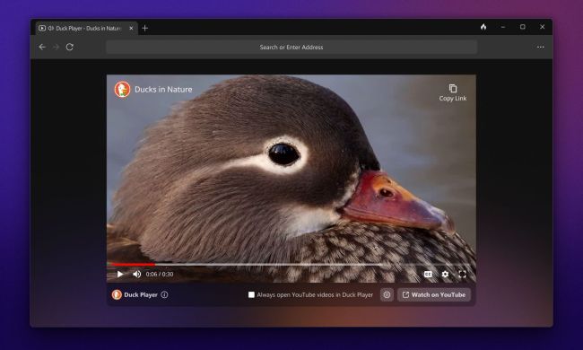 The Duck Player feature of DuckDuckGo's Windows web browser, showing a video being played.