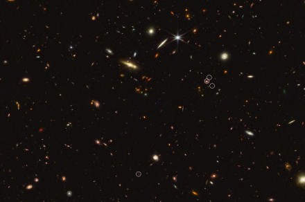 James Webb spots clues to the large-scale structure of the universe