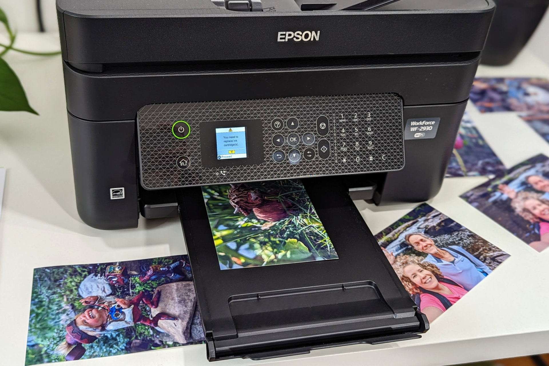 Der Epson WorkForce WF-2930 produziert Fotodrucke. 