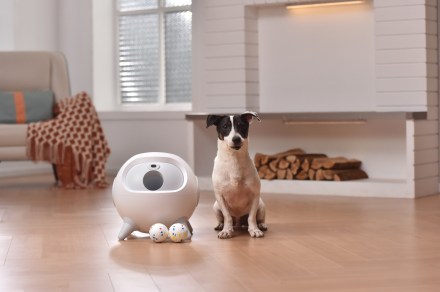 Uahpet’s iRetriever Ball Launcher can safely volley balls up to 80 feet for Fido