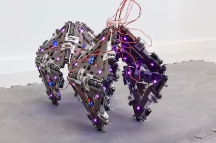 This remarkable shape-shifting robot could one day head to Mars