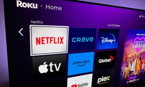 Netflix on a TV screen showing on the Roku home screen.