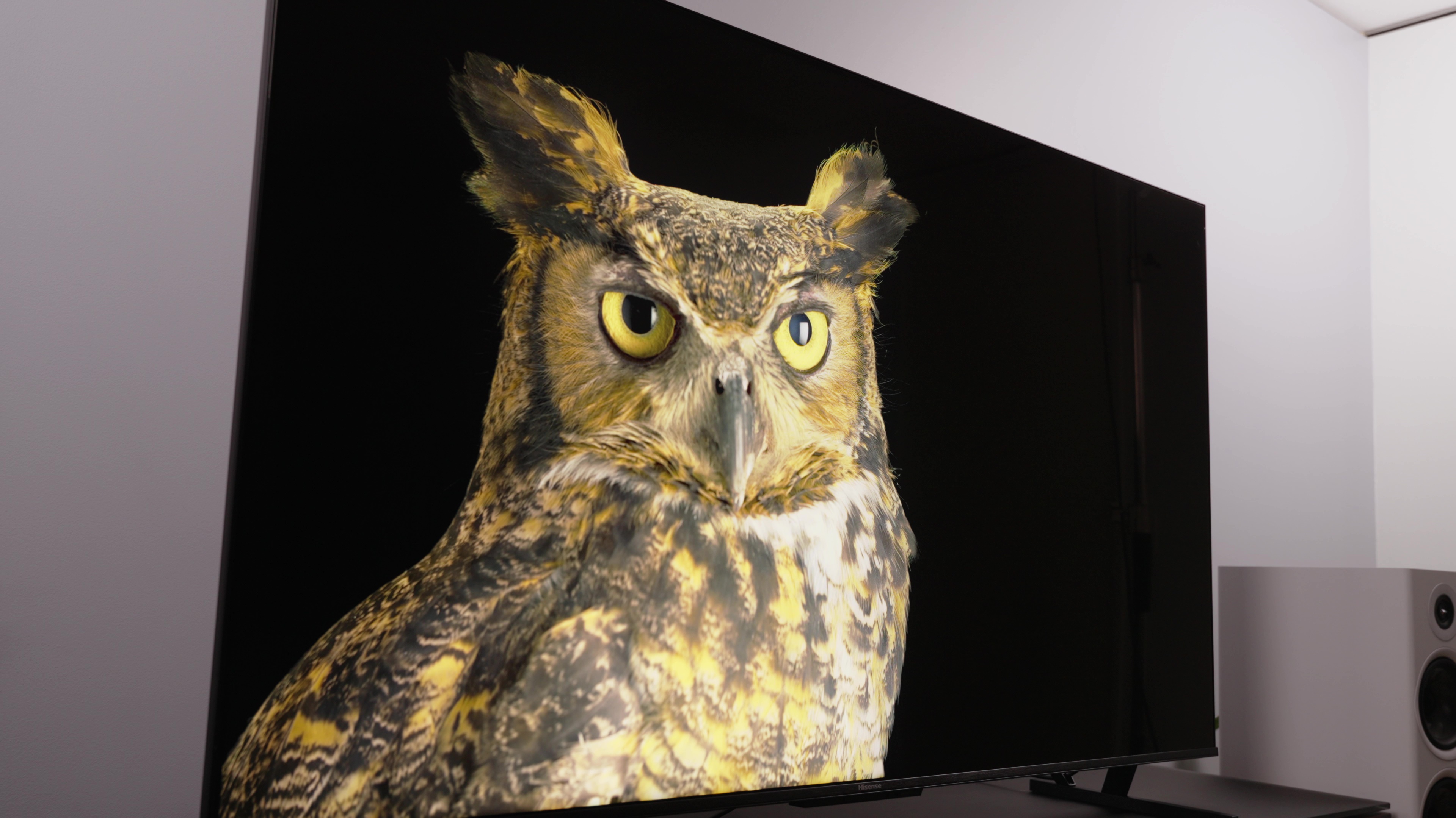 Hisense shows off massively bright 98- and 100-inch TVs at CES 