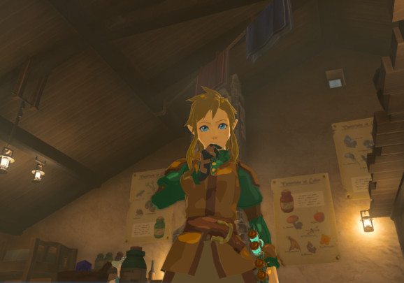 Install & Play The Legend of Zelda Tears of the Kingdom on PC