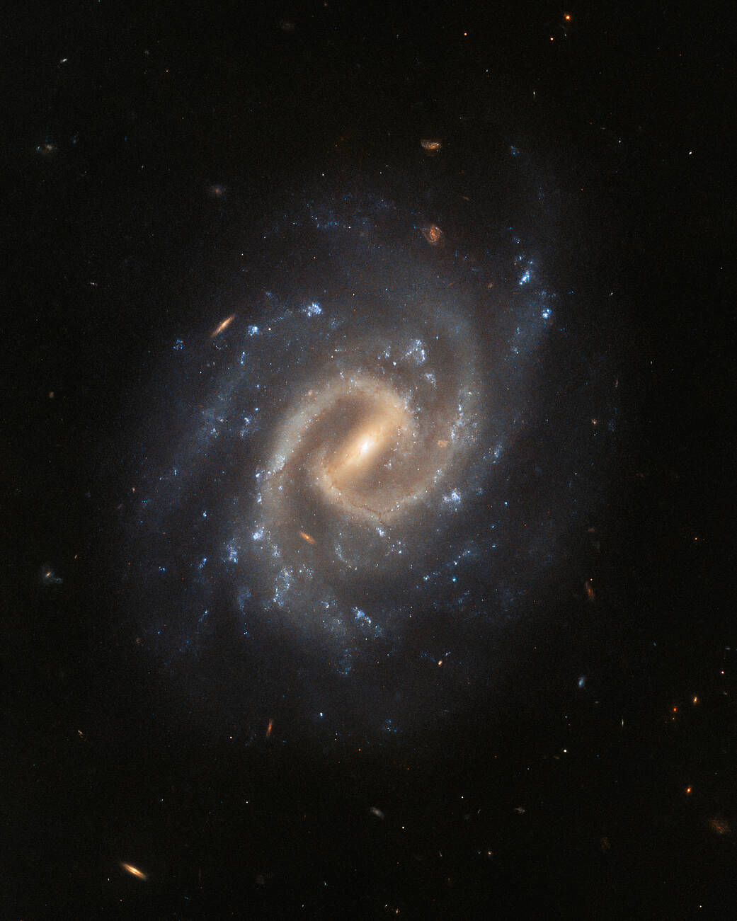 The tranquil spiral galaxy UGC 12295.