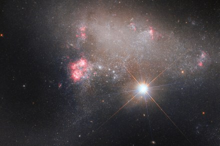 Hubble image shows a lonely star glowing over an irregular background galaxy