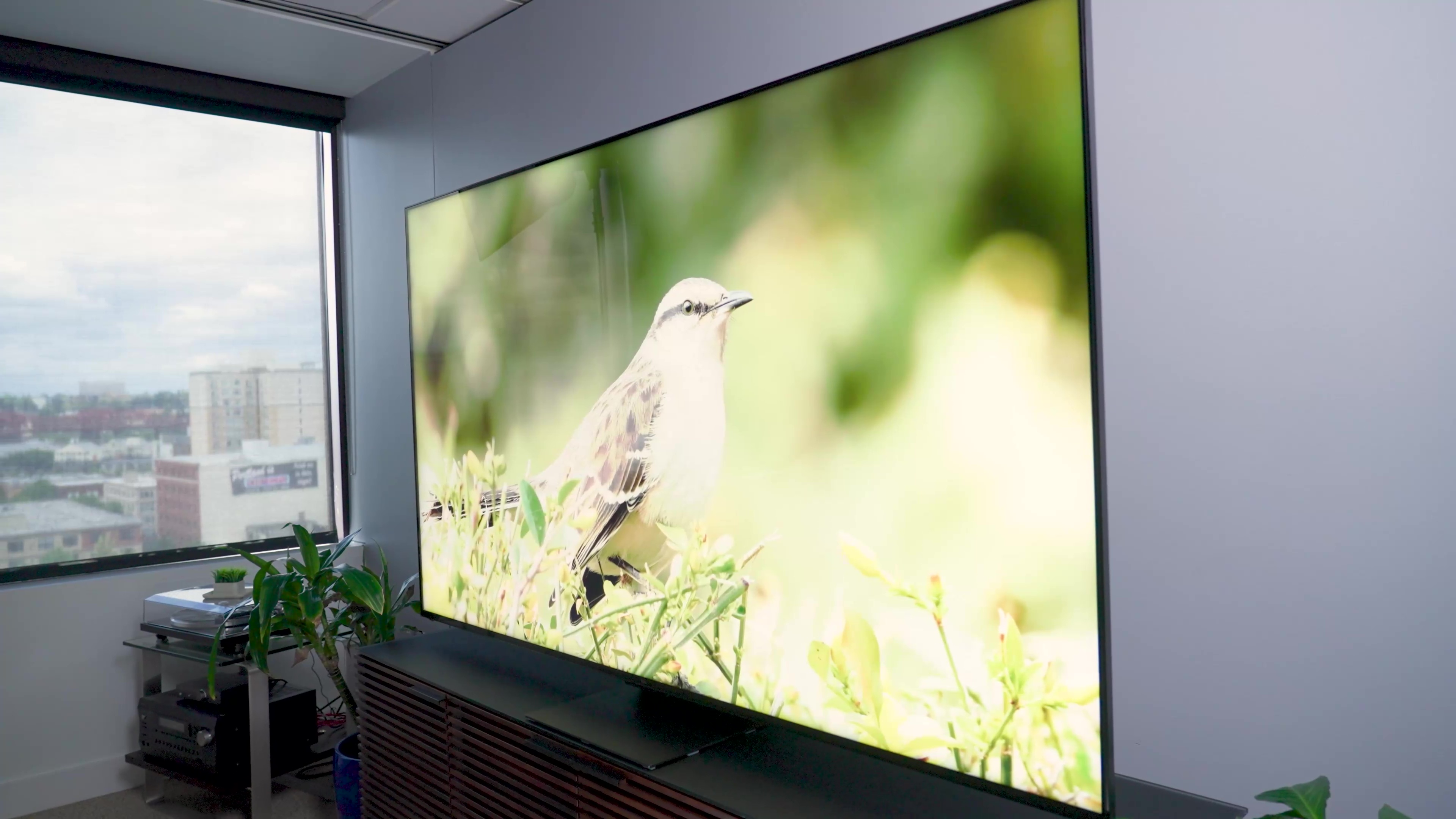 Samsung TV vs LG TV: which TV brand is better?