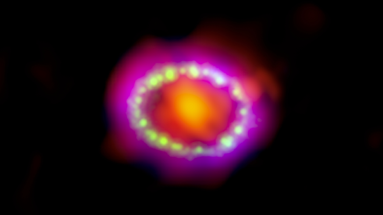 Los astrónomos combinaron observaciones de tres observatorios diferentes (Atacama Large Millimeter/submillimeter Array, rojo; Hubble, verde; Chandra X-ray Observatory, azul) para producir esta colorida imagen de múltiples longitudes de onda de los intrincados restos de la Supernova 1987A.