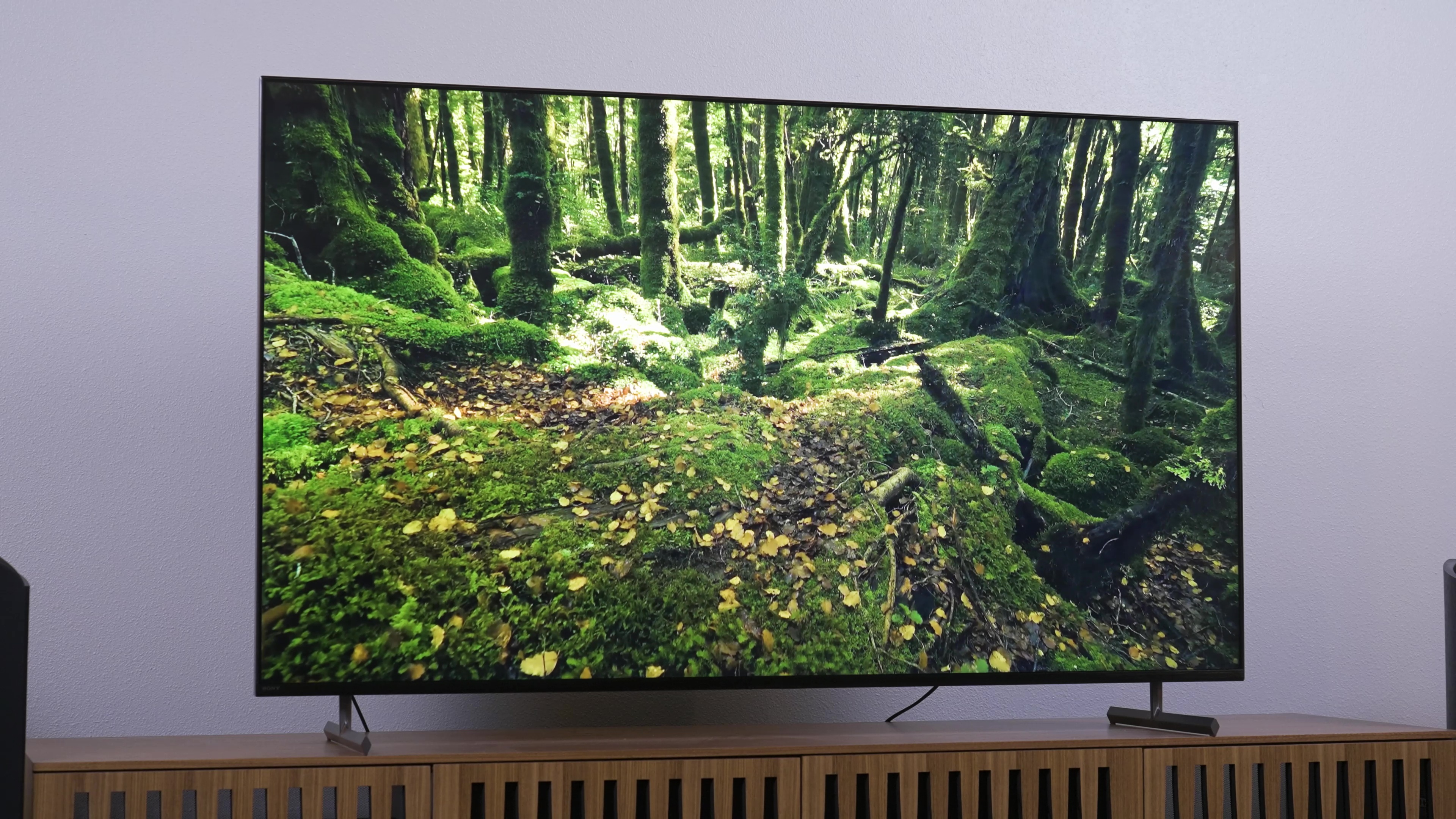 largest flat screen tv