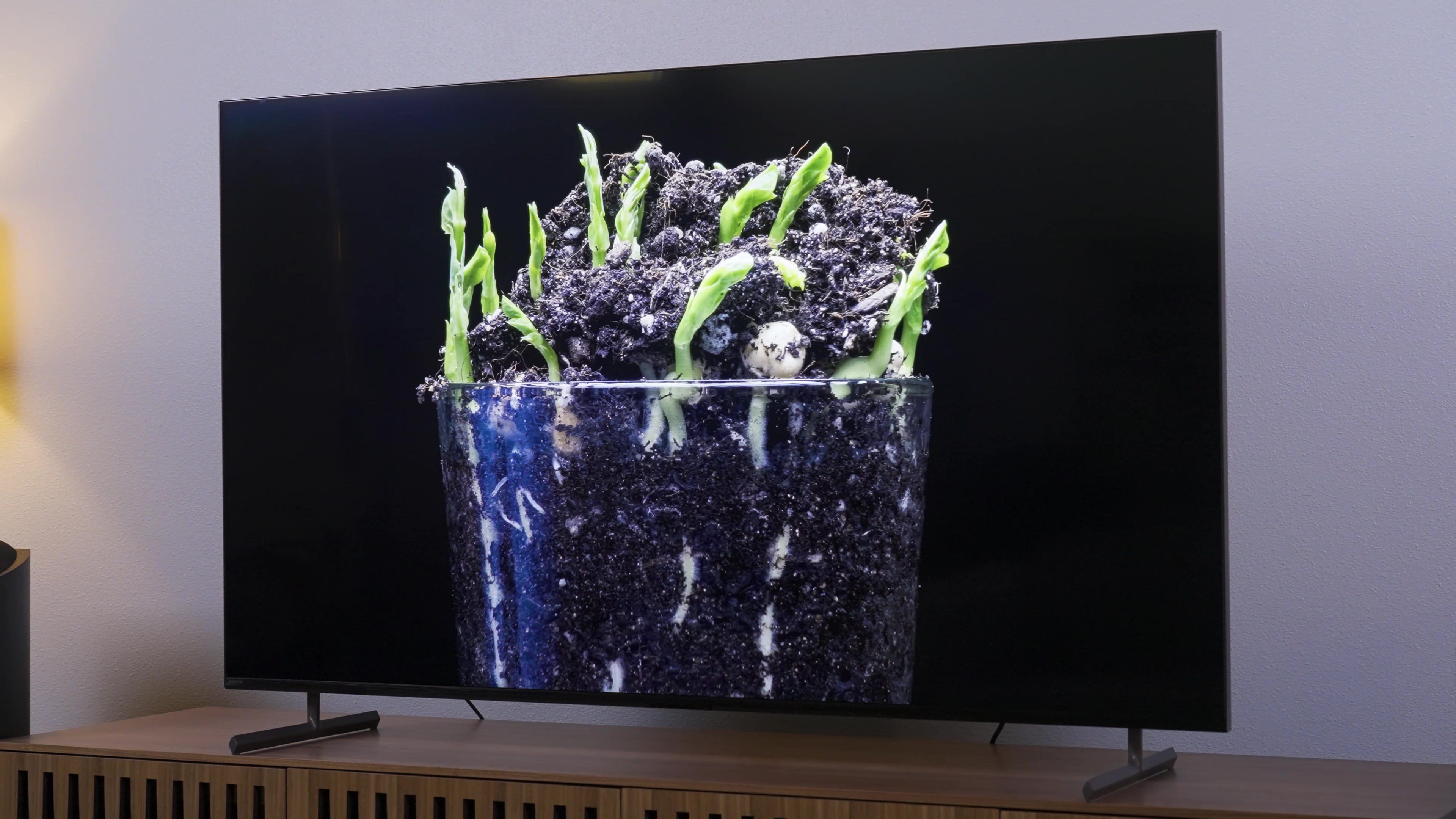 Les pousses de plantes vertes poussent à travers la terre dans un récipient transparent vu sur un Sony X90L.