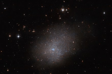 Hubble captures a sparkling cloud galaxy located right next door