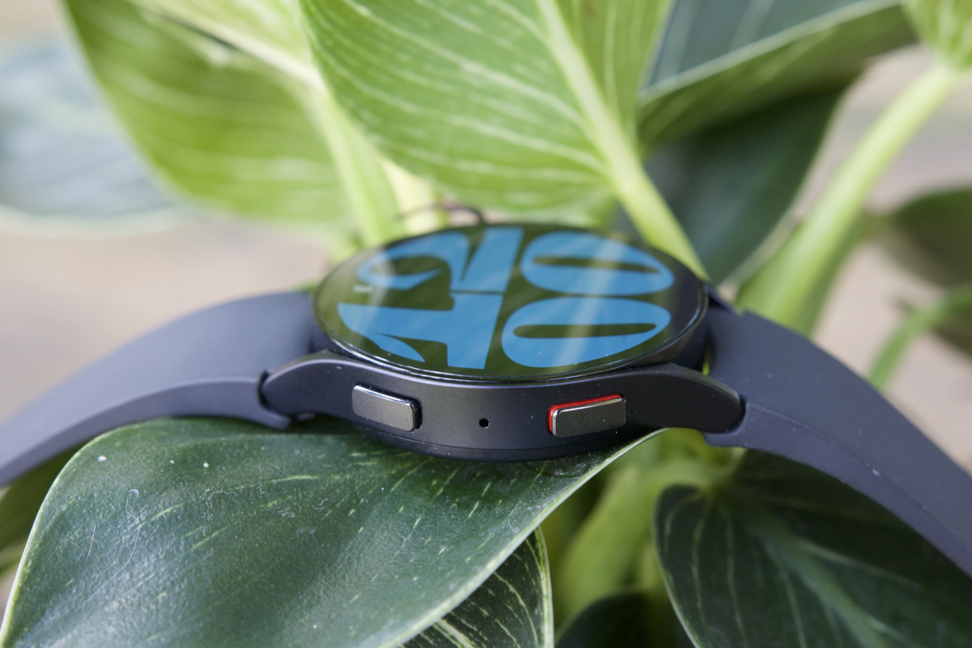 Samsung Galaxy Watch 6 Review