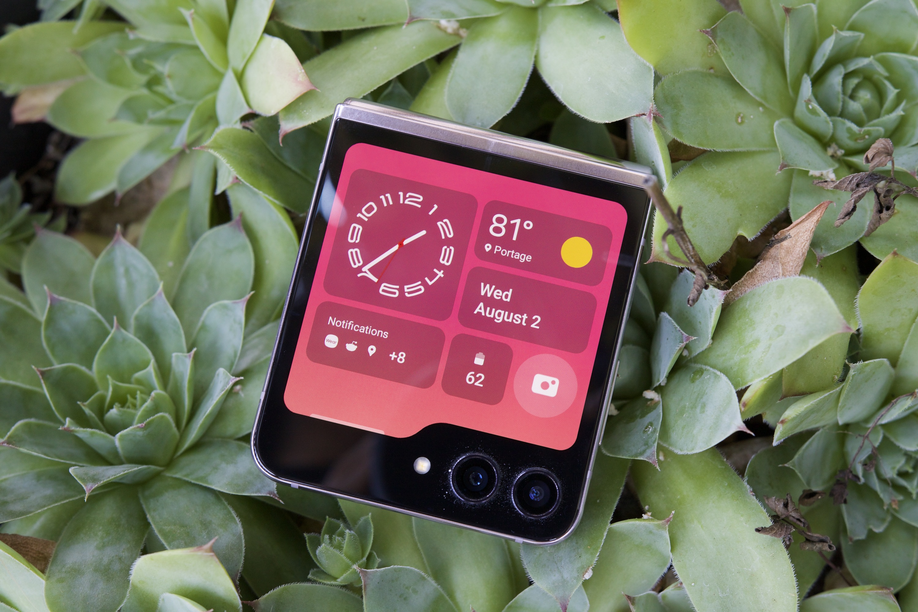 El Samsung Galaxy Z Flip 5 descansando sobre suculentas, con la pantalla de la cubierta puesta.