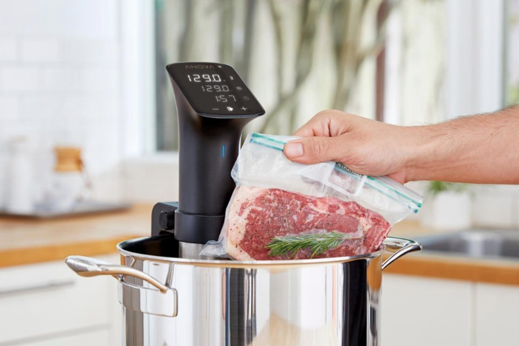 These Anova sous vide precision cookers already have Black Friday price  tags on