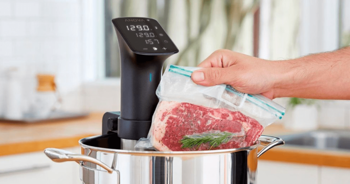 Anova Culinary Sous Vide Nano Precision Cooker | Bluetooth | 750W | Anova  App Included