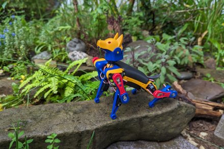 I built my own robot dog, and you can too