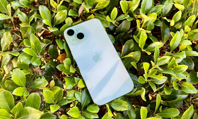 A green iPhone 15 in a bush.