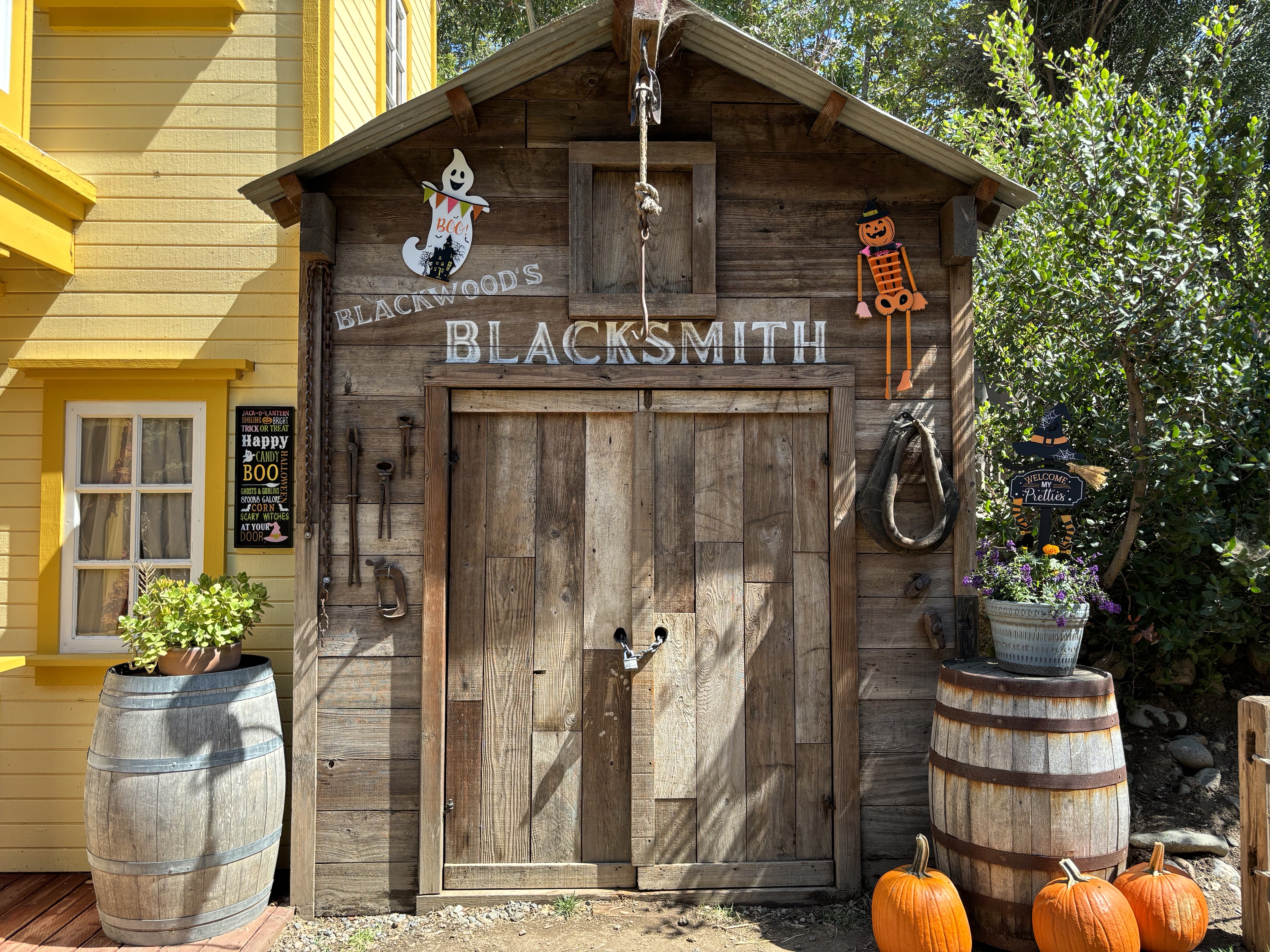 A shed at a pumpkin patch taken with iPhone 15.